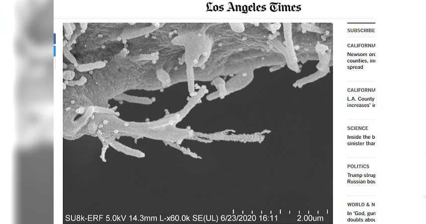 （圖／翻攝自洛杉磯時報）