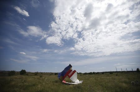 A part of the wreckage of Malaysia Airlines Flight MH17 is pictured at its crash site, near the village of Hrabove, Donetsk region, July 20, 2014. REUTERS/Maxim Zmeyev