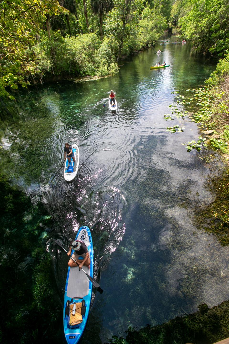 Paddlers head out from the canoe launch at the Silver Springs State Park. Silver Springs is a first-magnitude spring that forms the headwaters of the Silver River.