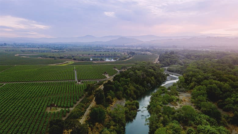 Russian River Valley 