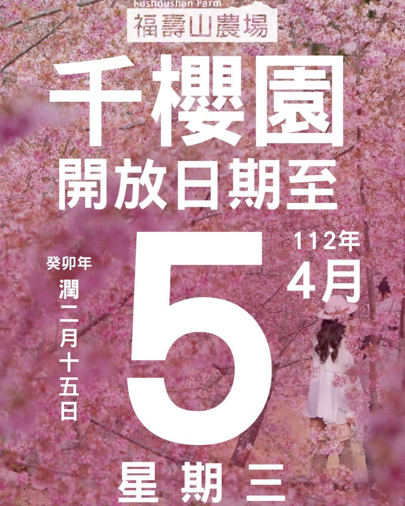 ▲櫻花花期將至，民眾也無須感到氣餒，福壽山農場說「超人氣千櫻園還是持續開放」！（圖／翻攝自福壽山農場臉書）