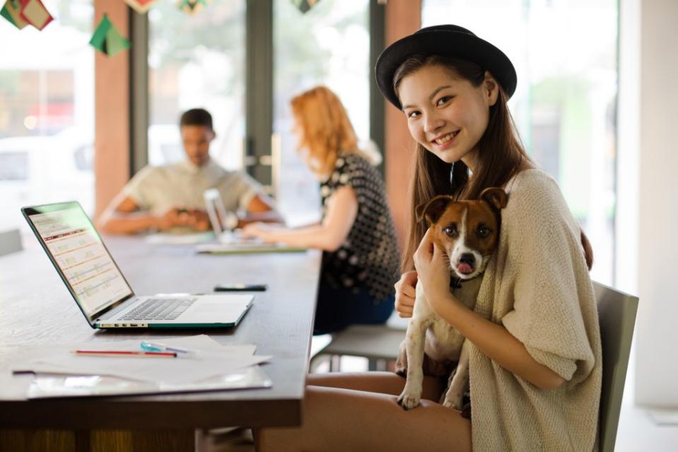 A recent survey found that 7% of pet owners have changed jobs to take better care of their pets. KOTO – stock.adobe.com