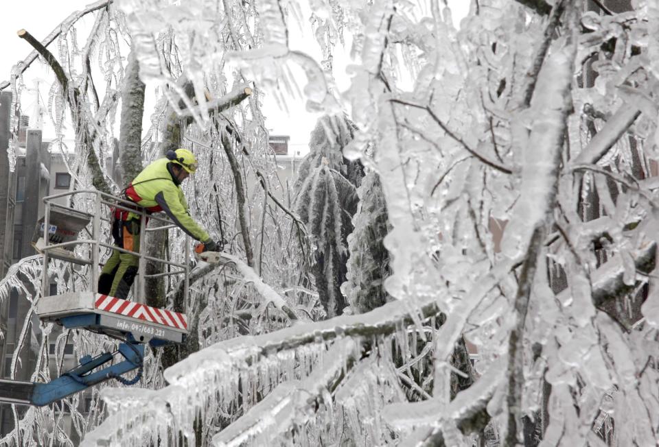 A worker cuts ice-covered branches with a chainsaw in Postojna in this February 5, 2014 file photo. Damage wrought on Slovenia's forests during a heavy ice storm earlier this month is estimated at 194 million euros ($266.77 million) and will take months to repair, officials said on Wednesday. Picture taken February 5, 2014. REUTERS/Srdjan Zivulovic/Files (SLOVENIA - Tags: ENVIRONMENT)