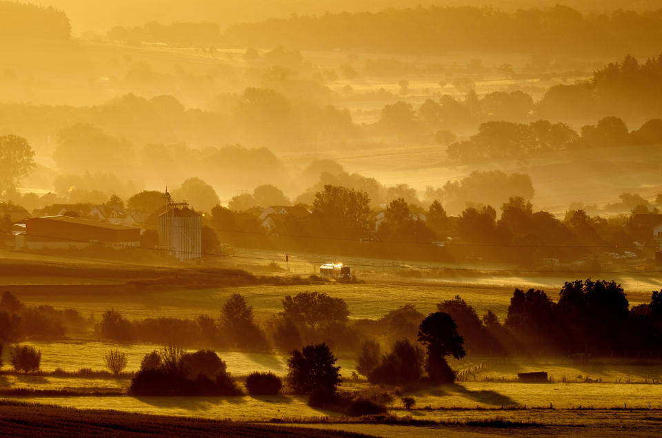 A regional train travels through fields in Wehrtheim, Germany, Aug. 6, 2024. (AP Photo/Michael Probst, File)