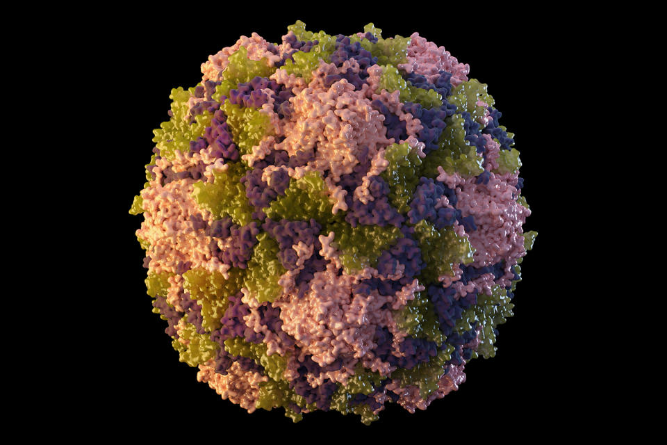 This 2014 illustration made available by the U.S. Centers for Disease Control and Prevention depicts a polio virus particle. (Sarah Poser, Meredith Boyter Newlove / CDC via AP)