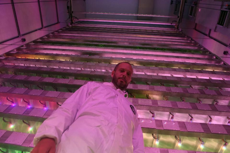 <div class="inline-image__caption"><p>Gille Dreyfus poses in front of the vertical farming system built by his French start-up, Jungle, located in Paris.</p></div> <div class="inline-image__credit">Eric Piermont / AFP via Getty</div>