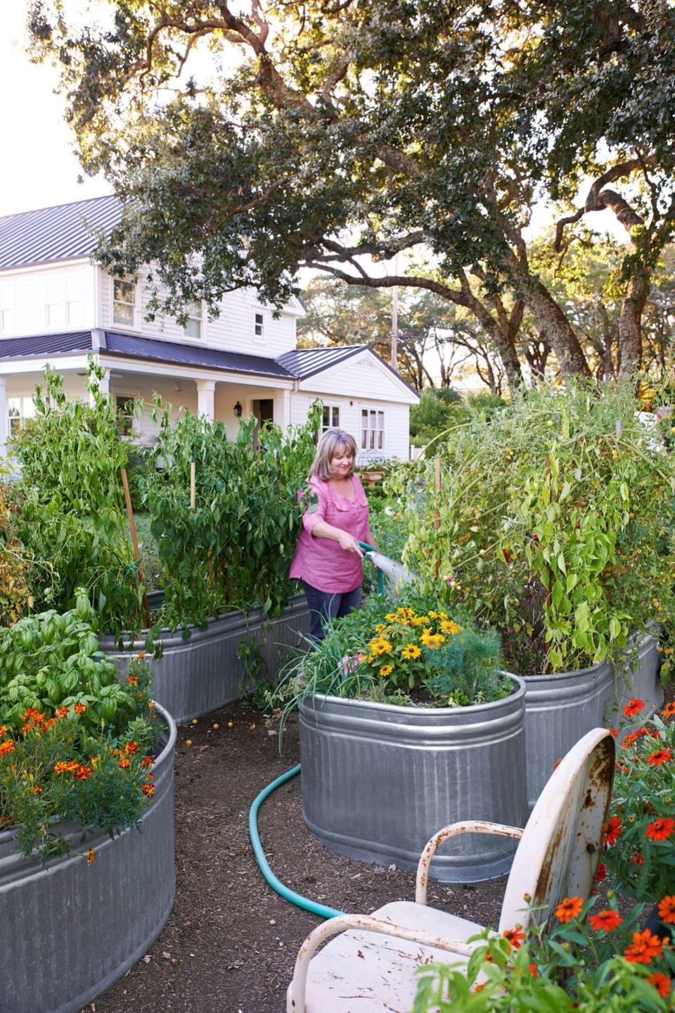 <p>Galvanized troughs look gorgeous, as well as keeping pests at bay and conserving water in this California farmhouse.</p><p><strong><a href="https://www.countryliving.com/home-design/house-tours/g1614/jann-blazona-california-home-garden/" rel="nofollow noopener" target="_blank" data-ylk="slk:Read more about this California farmhouse;elm:context_link;itc:0;sec:content-canvas" class="link ">Read more about this California farmhouse</a>.</strong></p><p><a class="link " href="https://go.redirectingat.com?id=74968X1596630&url=https%3A%2F%2Fwww.tractorsupply.com%2Ftsc%2Fsearch%2Fgalvanized%2520feed%2520trough&sref=https%3A%2F%2Fwww.countryliving.com%2Fgardening%2Fgarden-tours%2Fg1432%2Flandscaping-ideas%2F" rel="nofollow noopener" target="_blank" data-ylk="slk:SHOP GALVANIZED TROUGHS;elm:context_link;itc:0;sec:content-canvas">SHOP GALVANIZED TROUGHS</a></p>