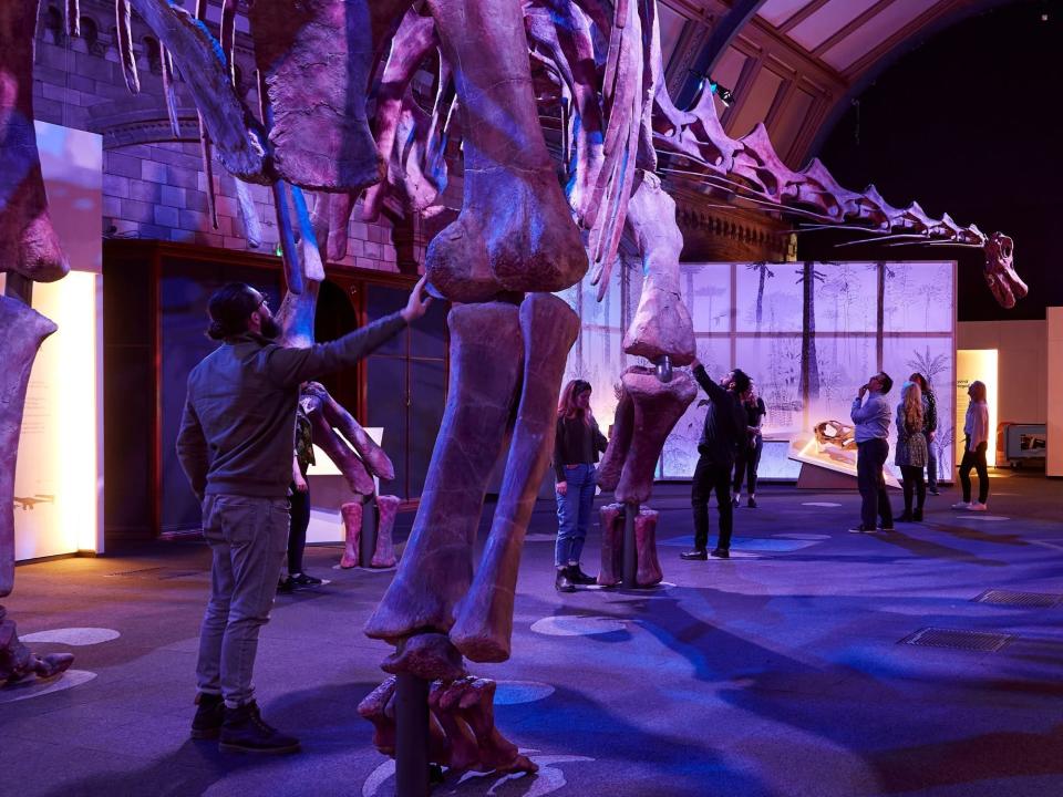 Visitors walk under the Patagotitan mayorum in London.