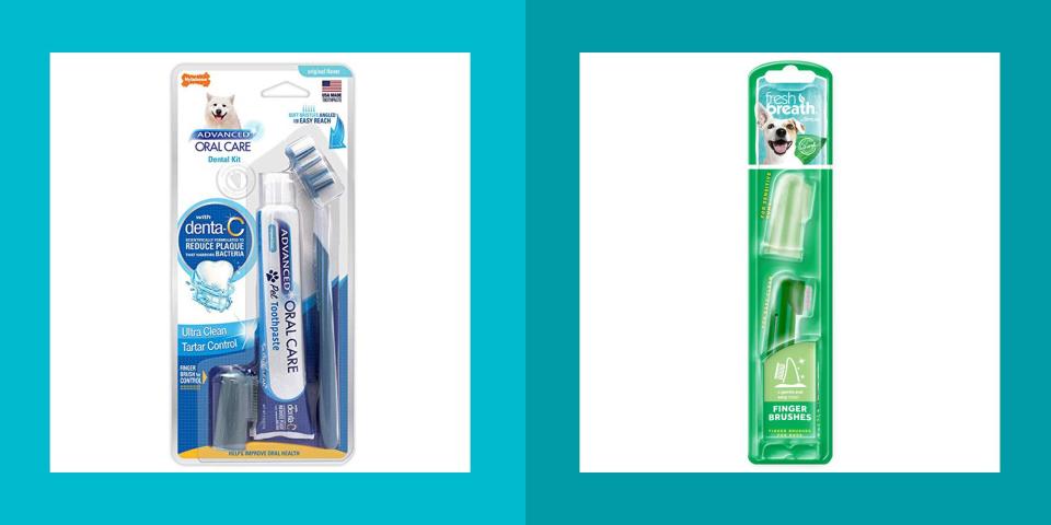 All the Best Dog Toothbrushes and Tools for Banishing Puppy Breath