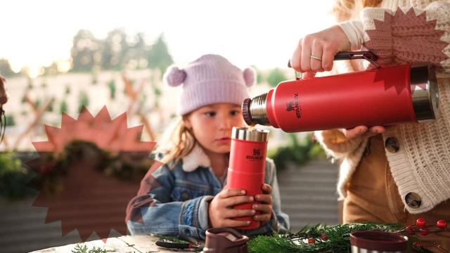 TikTok Loves This Stanley Thermos for Travel