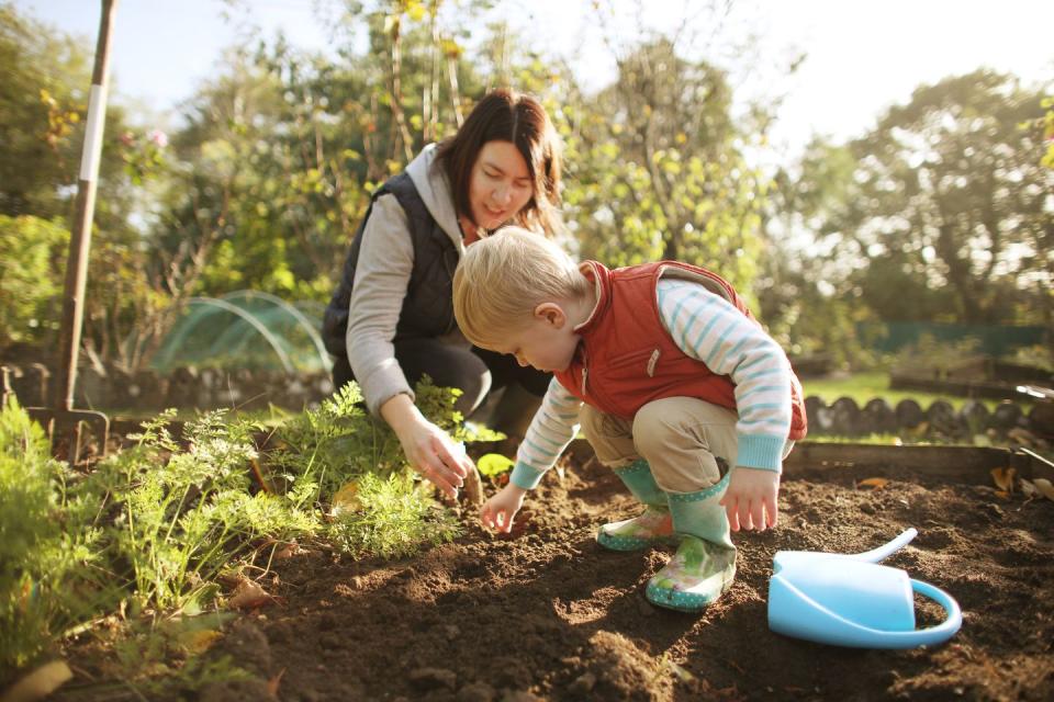 2) Plant Bulbs for the Spring