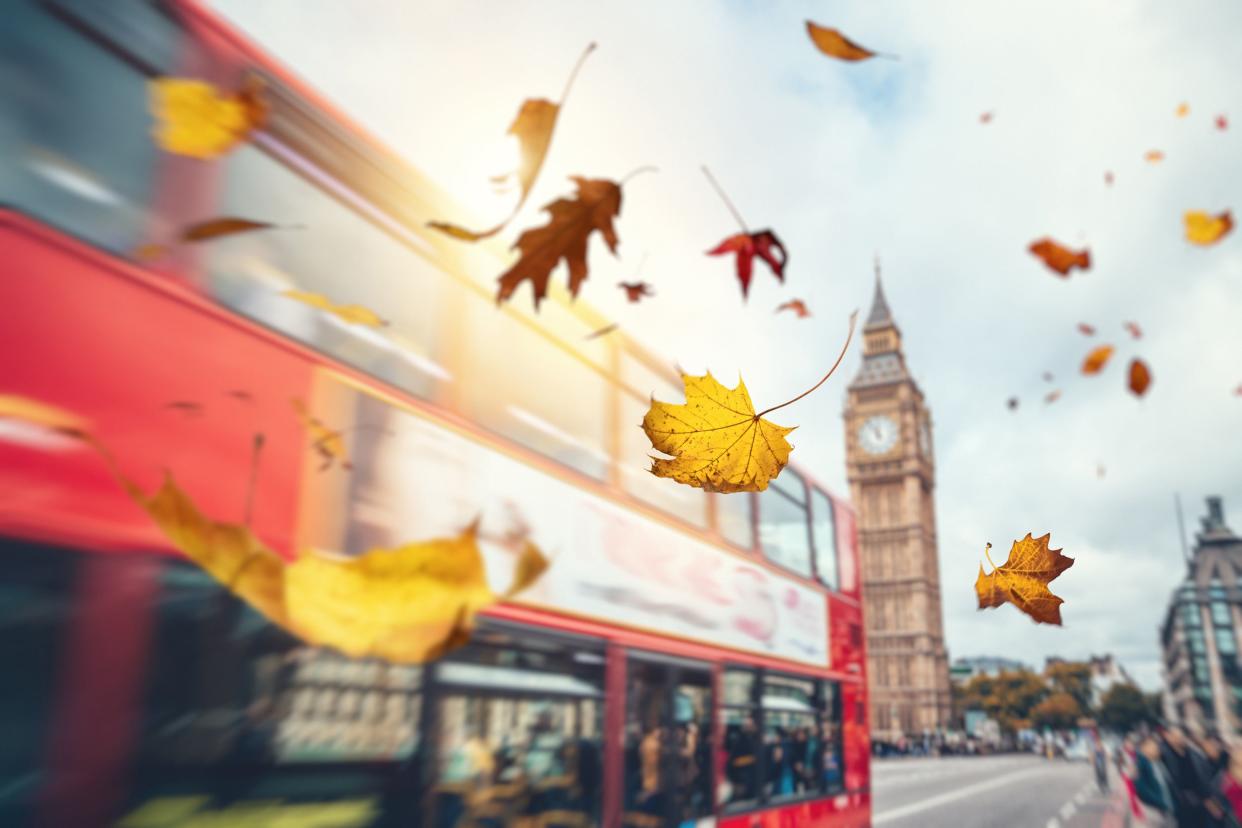 falling autumn leaves in London