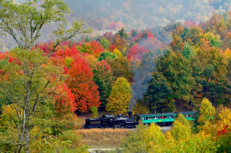 The Cass Scenic Balk Knob