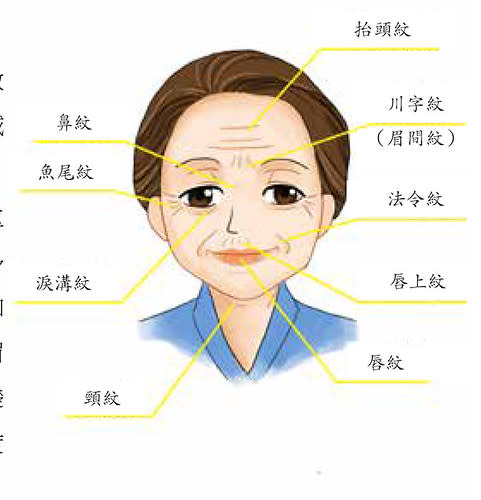 臉上皺紋