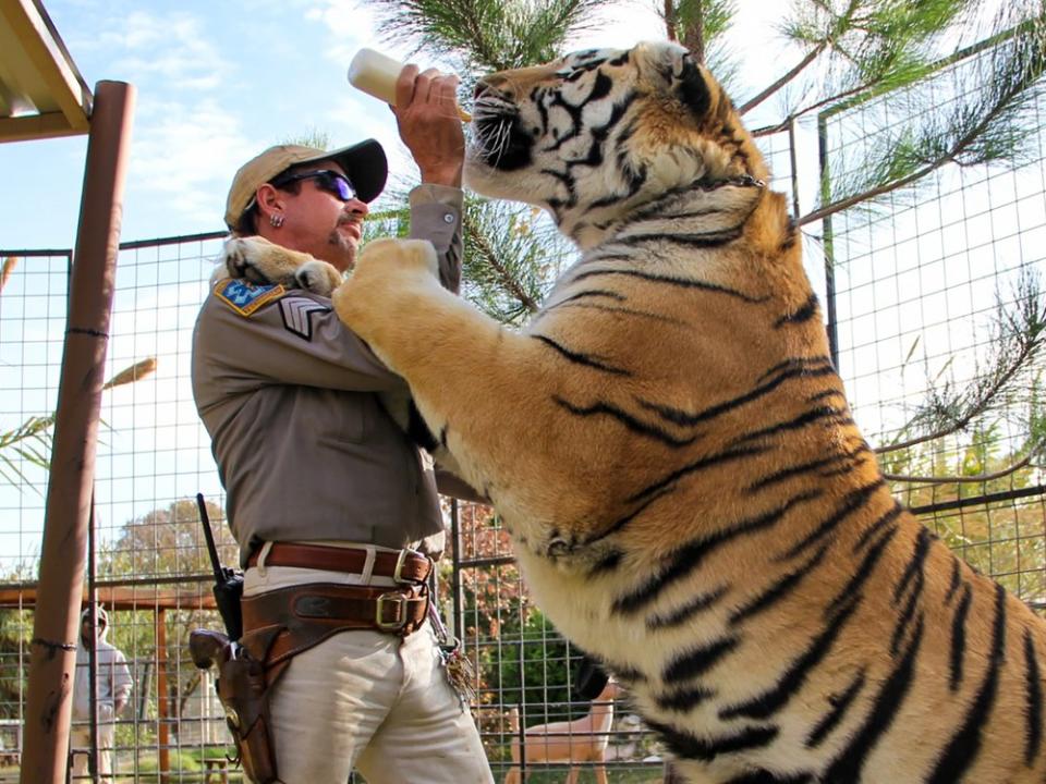 Auch in "Tiger King 2" geht es eher um Menschen als um Großkatzen... (Bild: ©2020 NETFLIX)