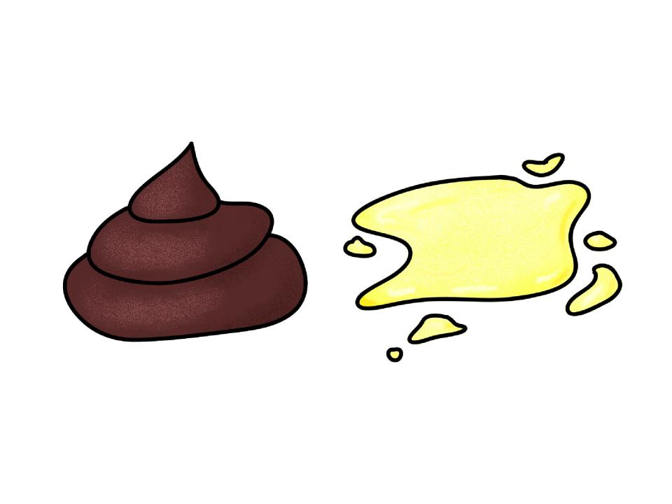 illustration of feces and urine
