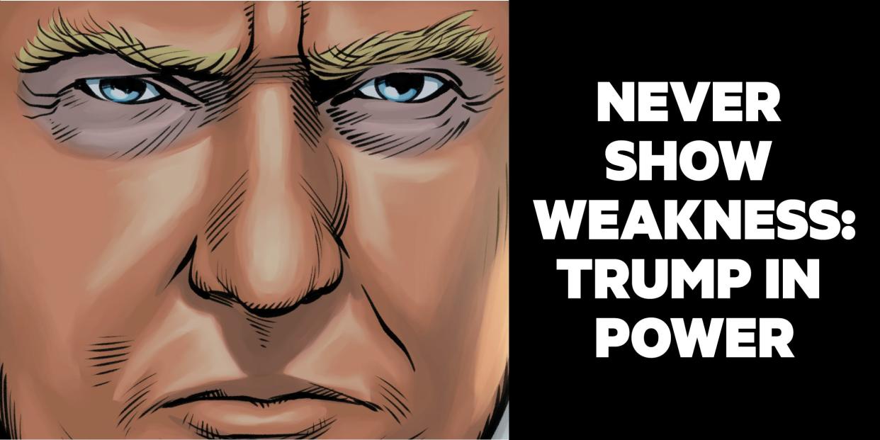 trump comic 2x1