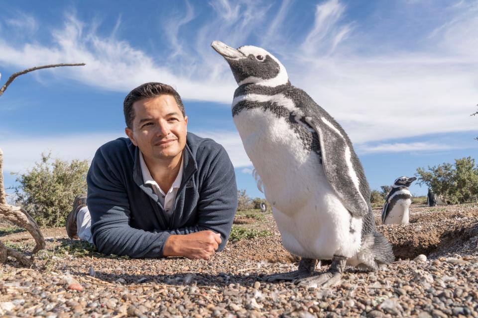 Pablo Borboroglu works to improve penguin colony management through the creation of large, protected areas, including 32 million acres of ocean and coastal habitat.