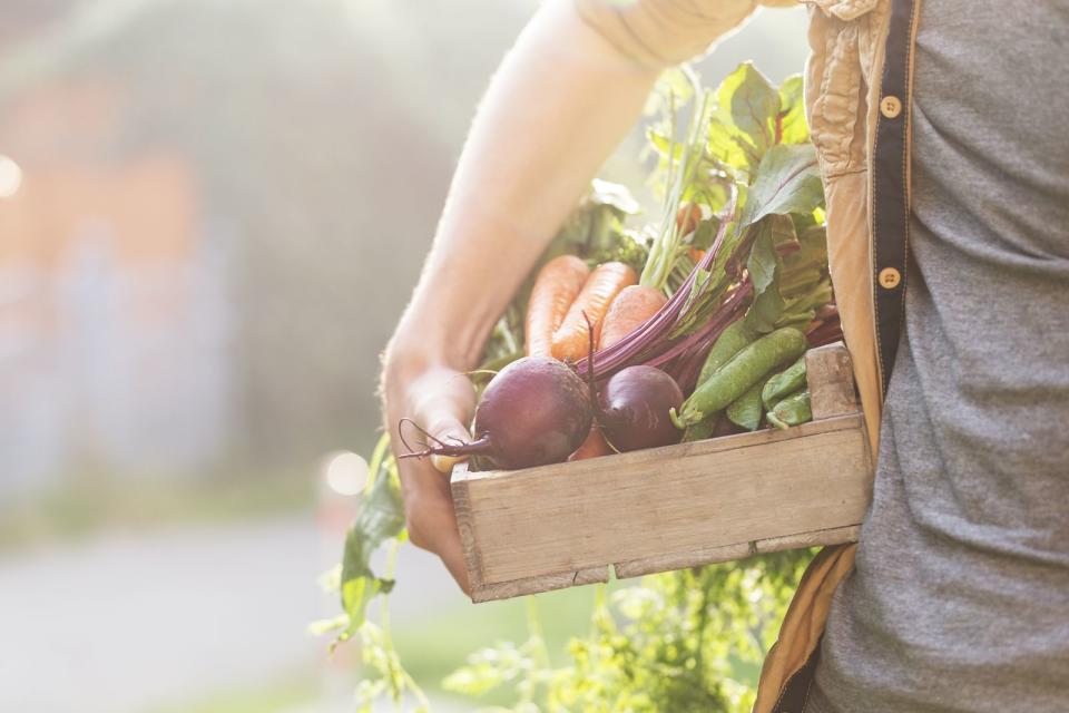 Eine nachhaltige Lebensweise kann man Kindern am Beispiel eines kleinen Gemüsebeets oder mit Beerensträuchern im Garten erklären. Eigene Ernte-Erzeugnisse liefern auch Tomaten- oder Erdbeerpflanzen auf dem Balkon. Mit einem Ernteanteil bei einer solidarischen Landwirtschaft kann man Kindern ebenfalls den Wert regionaler Produkte, die schnell vom Acker auf den Tisch kommen, zeigen. (Bild: iStock/nerudol)