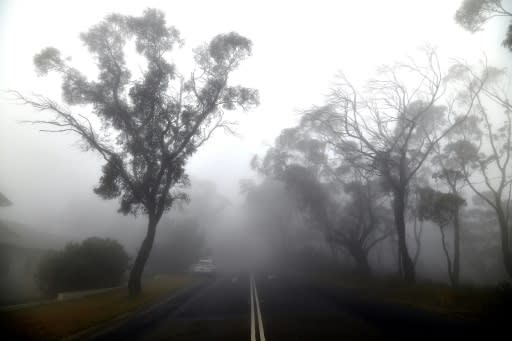 Australia endures bushfires every year but they started much earlier than normal last year and have lasted far longer