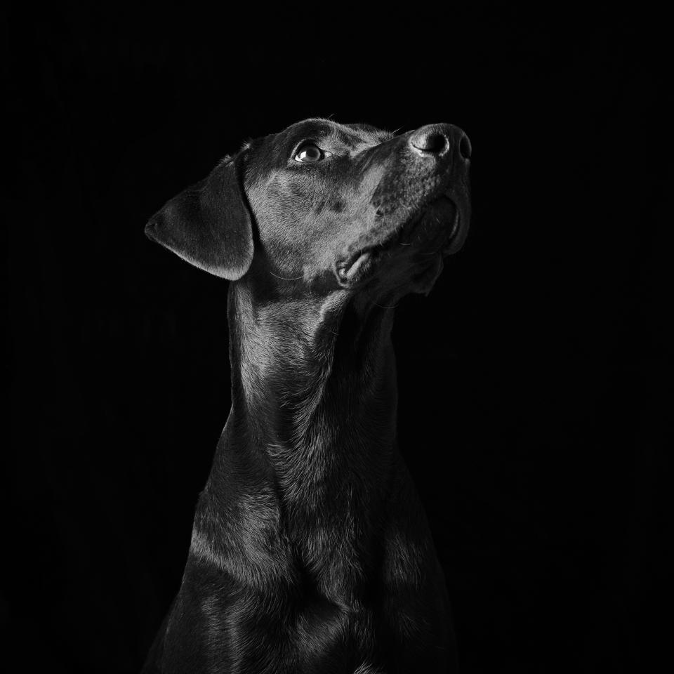 Truffle was part of an unwanted litter of puppies. (Photo: Emma O' Brien/Caters News)