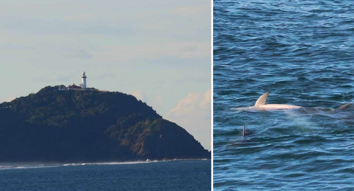 Left - Broken Head, NSW. Right - close up of the 