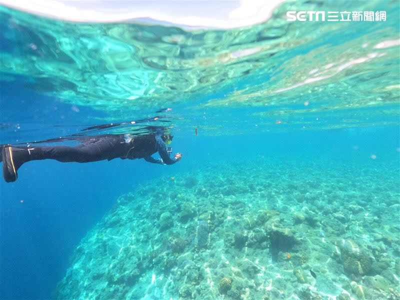 帛琉是海島國家，大斷層也是必去潛點（圖／記者花芸曦攝影）