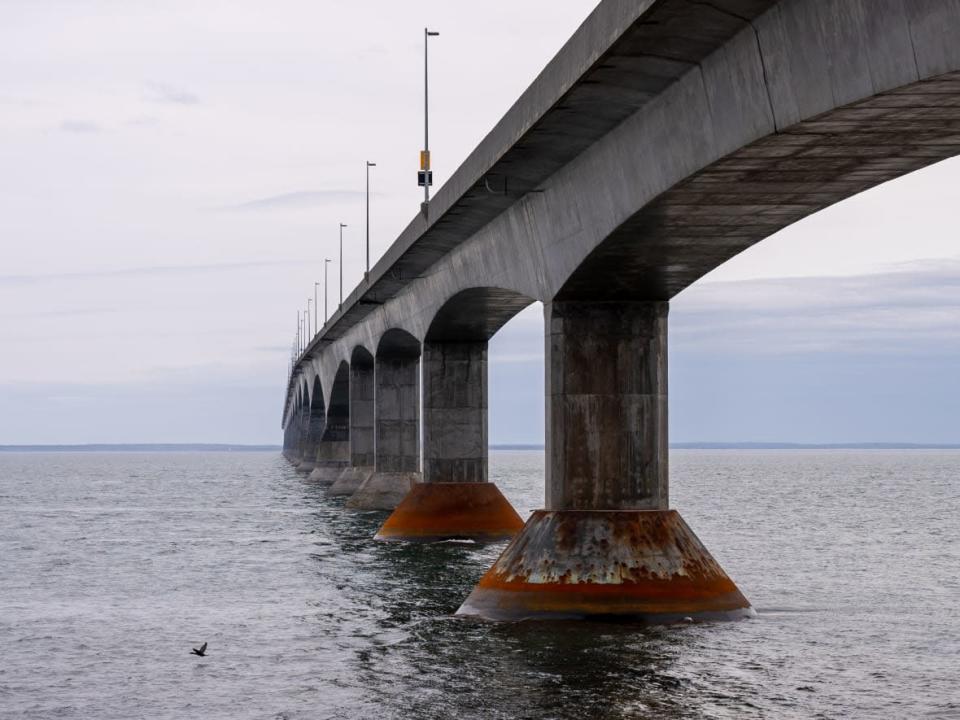 Every Prince Edward Island MLA voted for a motion to ask the federal government to rename Confederation Bridge. (Jane Robertson/CBC - image credit)