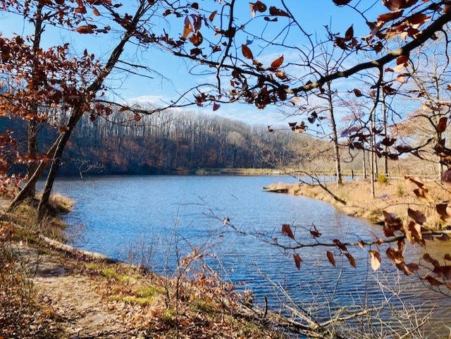 A view from trail 7, Ogle Lake at Brown County State Park.