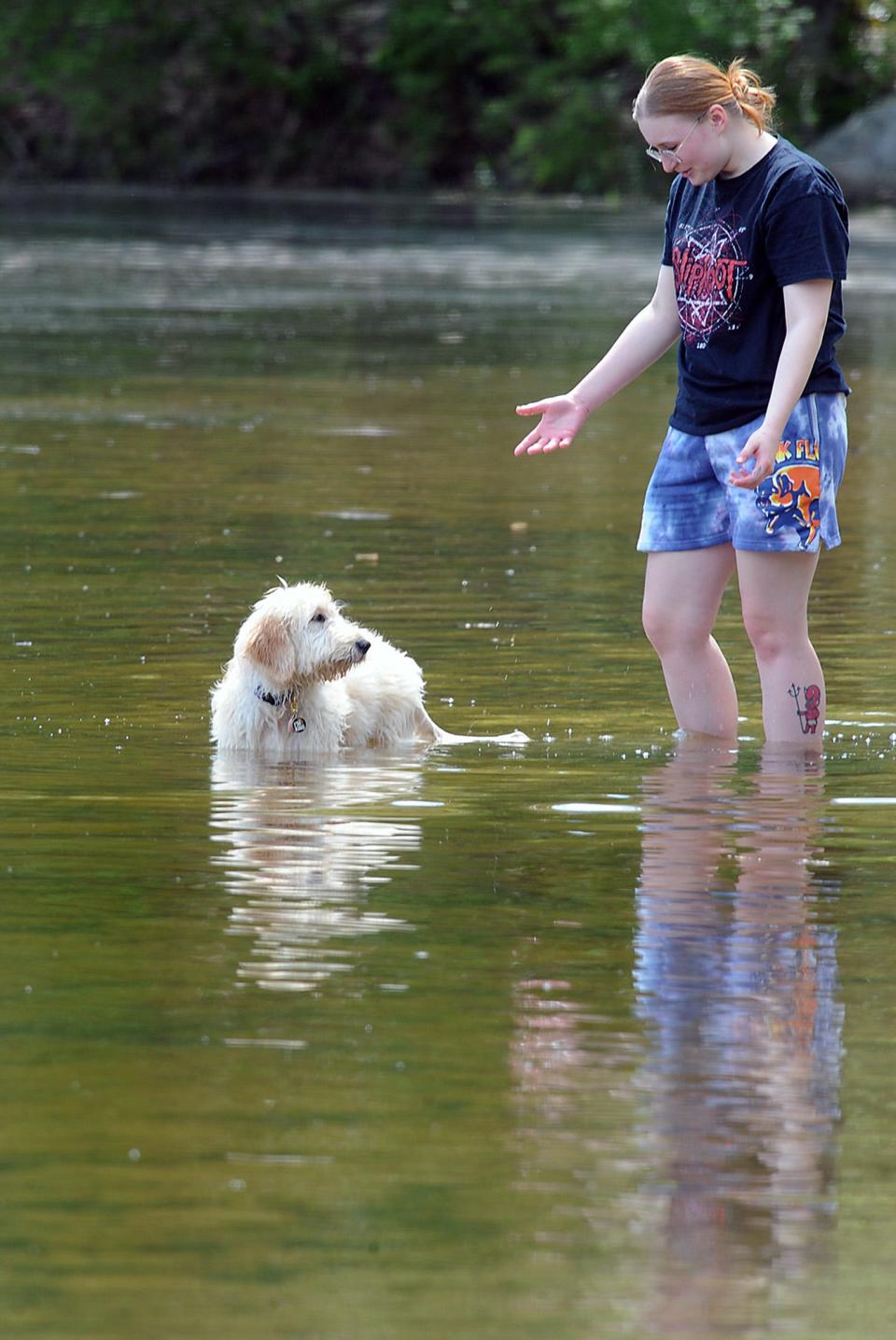 Marley, a golden doodle, and Jackie Revzin, of Worcester, get their feet wet at Ashland State Park, May 17, 2021.