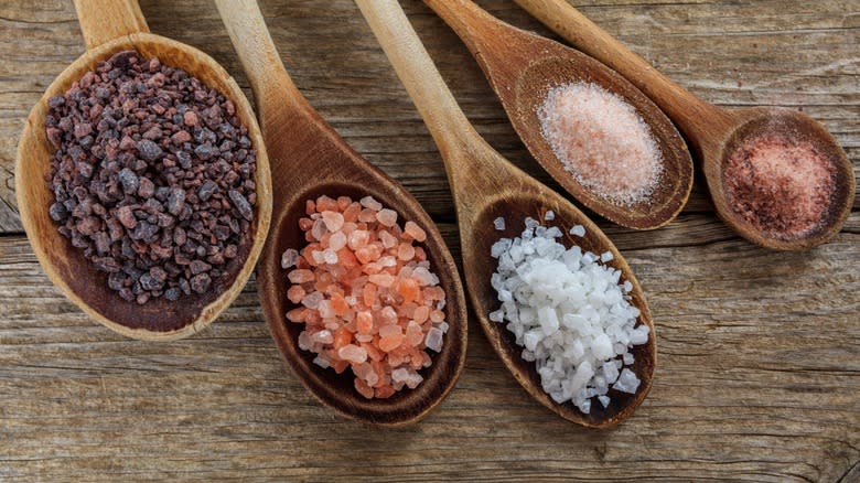 Types of salt in wooden spoons