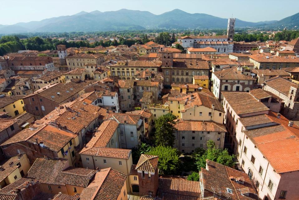 The view from the top of the Guinigi Tower in Lucca, Italy, looks out on houses and squares below.