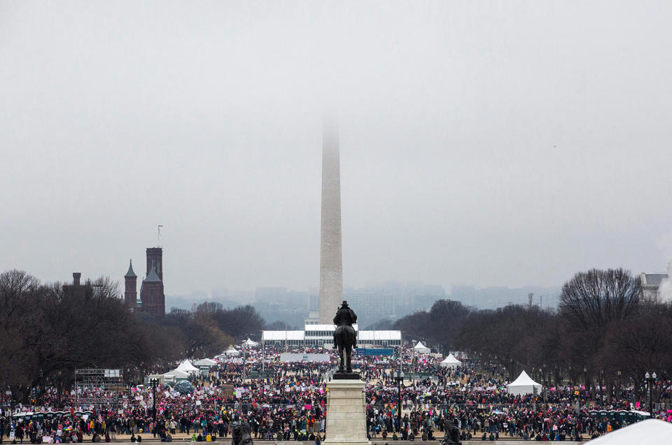 <p>Protesters crowd the National Mall in Washington, DC, during the Womens March on January 21, 2017. (ZACH GIBSON/AFP/Getty Images) </p>