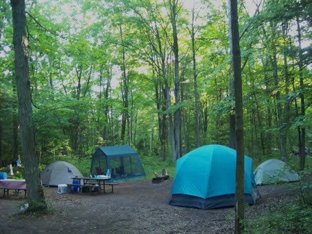 Dreaming of a summer getaway after weeks of winter lockdown? You're not alone. Ontario Parks says bookings in the first part of the year nearly doubled as people look to staycation close to home this summer.  (CBC - image credit)
