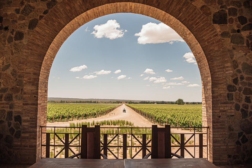 A view of La Pirámide vineyard from Angélica Cocina Maestra