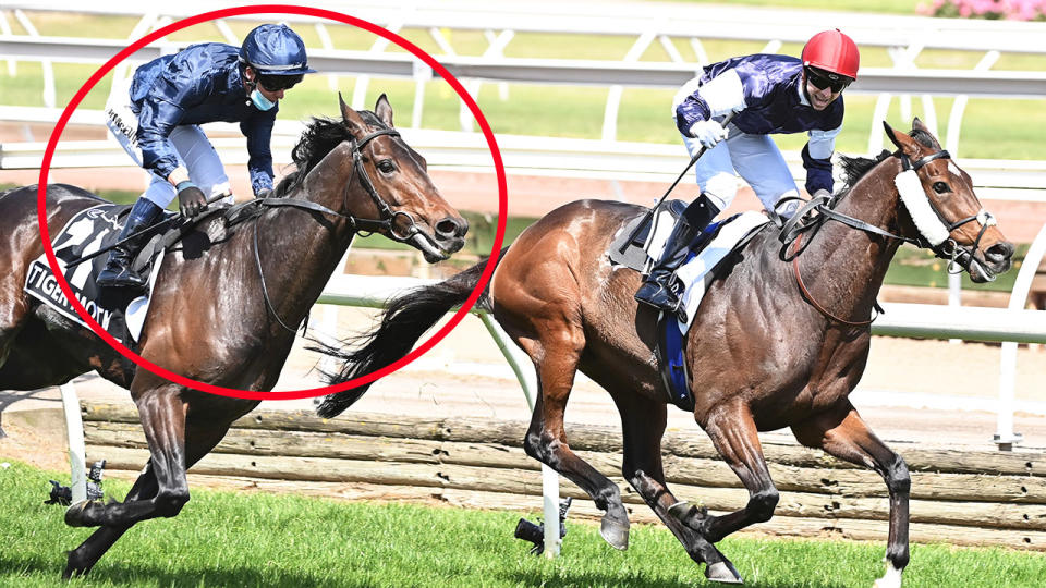 Kerrin McEvoy, pictured here riding Tiger Moth in the Melbourne Cup.