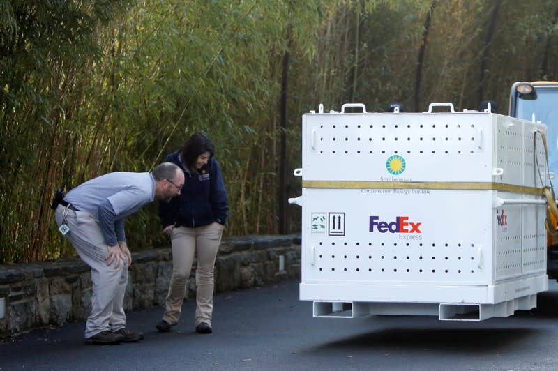 Workers look at a FedEx's crate where Bei Bei, the giant panda, has been placed before his departure to China, at the Smithsonian National Zoo, in Washington