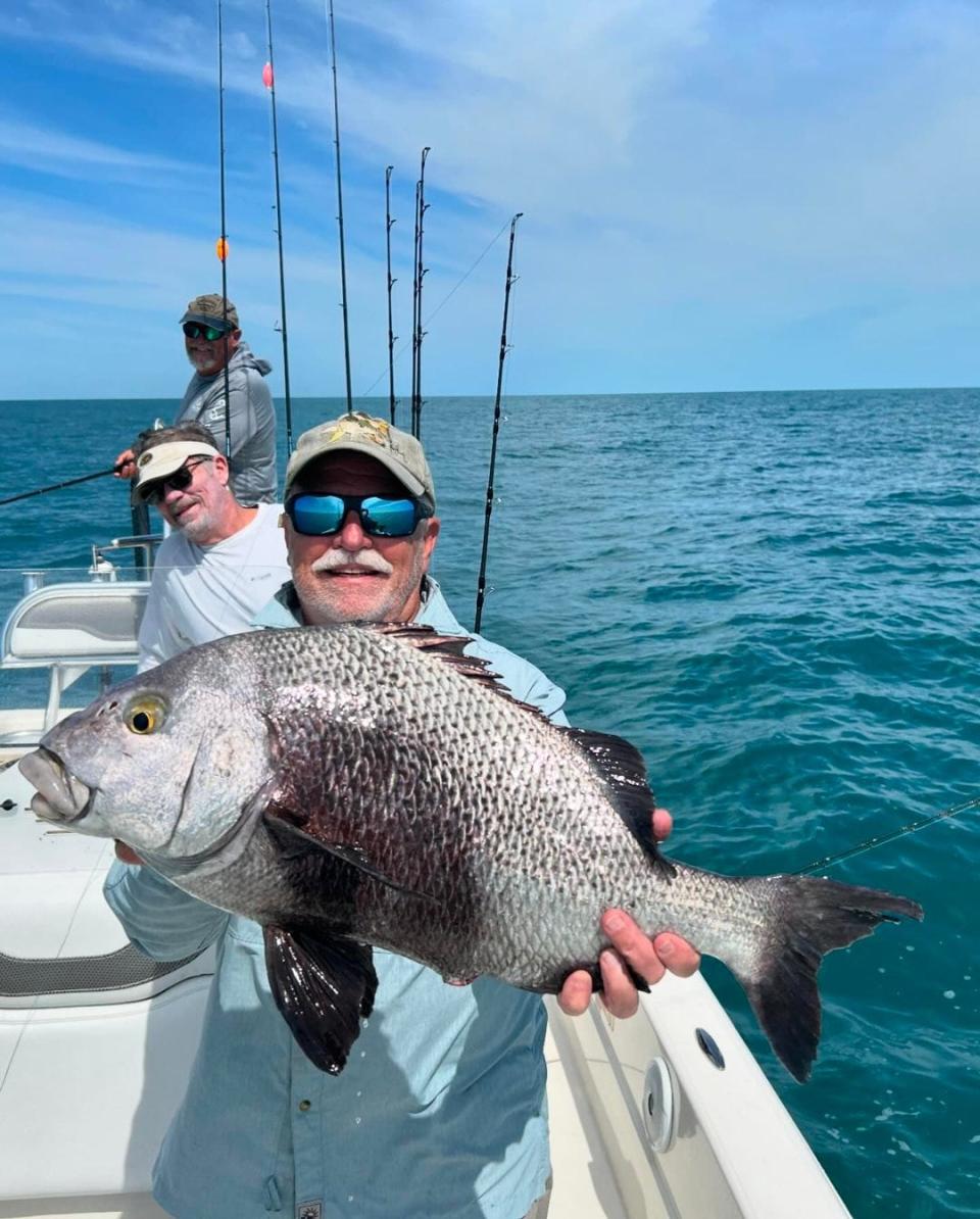 Black margate like this one caught April 19, 2024 have been on the shallow nearshore reefs off Melbourne Beach.