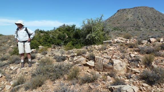 Bruce Rubidge stands on an ash horizon near Beaufort West in the Karoo Basin in South Africa that was dated at around 260 million years old.