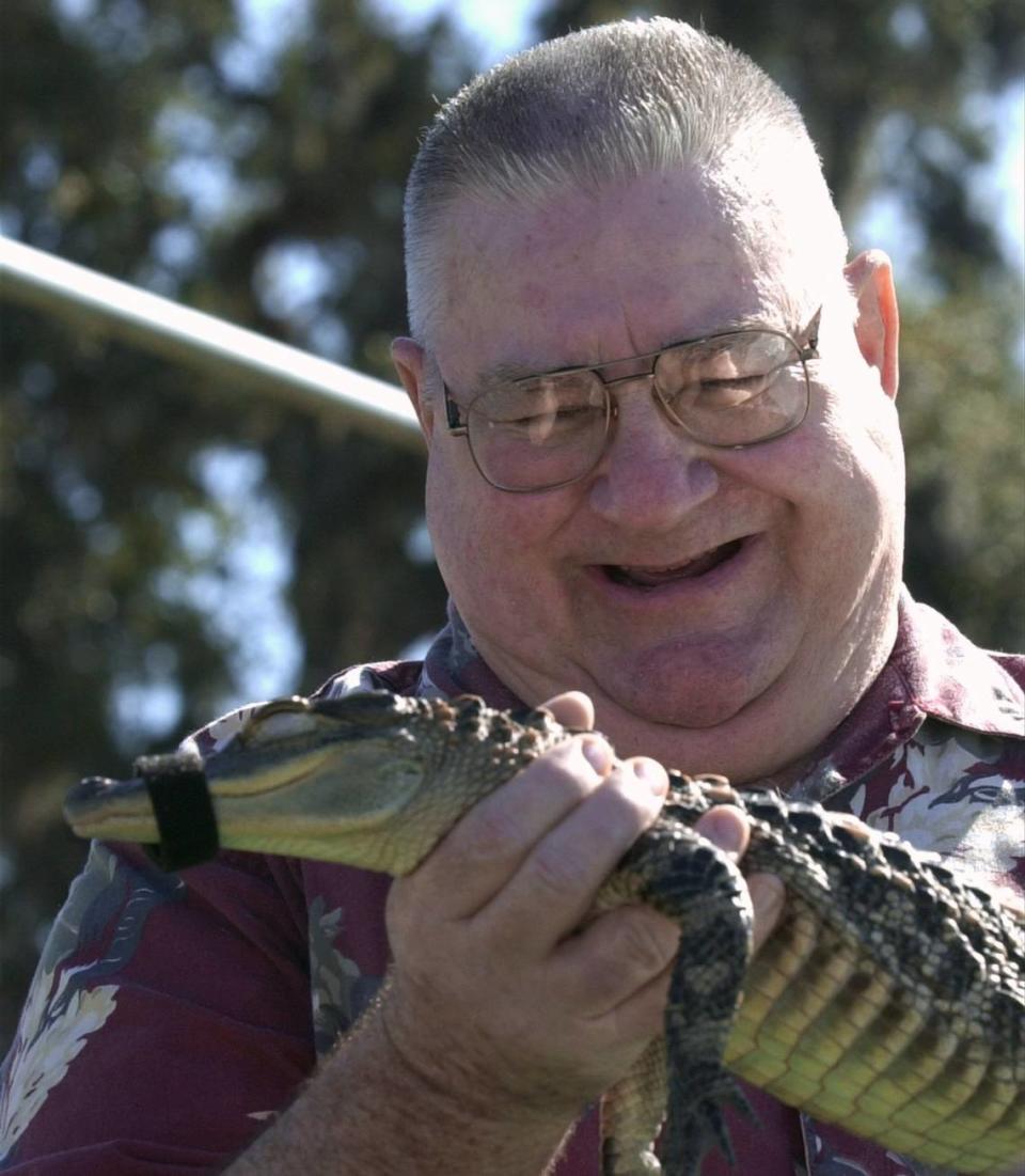 Terry Harrison of Ellenton holding “Wally” a baby alligator, during the Swampmaster Gator Show at the Manatee County Fair on January 23, 2002. 