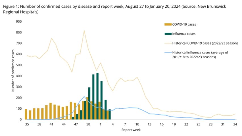 The number of confirmed COVID-19 and flu cases in New Brunswick by week, Aug. 27, 2023 to Jan. 20, 2024, as illustrated by the gold and green bars, compared to the historical averages, illustrated by the gold and blue lines.