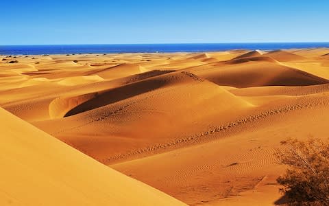 The dunes of Maspalomas - Credit: AP