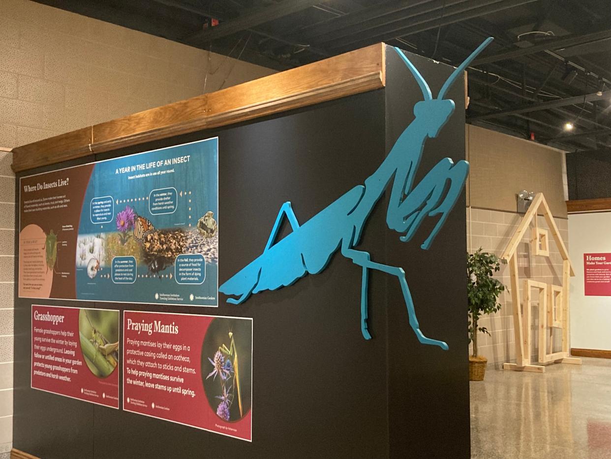 "Habitat," the Smithsonian traveling exhibition on display in the Keller Gallery of McKinley museum, was a "build it yourself" exhibit, according to the museum's Executive Director Kimberly Kenney.