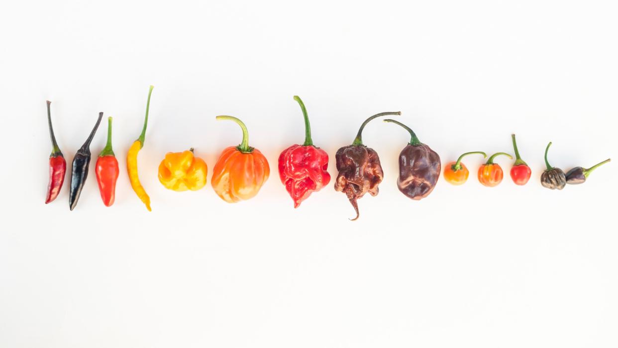  Colourful mix of the hottest chilli peppers: Thai chili, habanero, serrano, jalapeno, bhut jolokia, trinidad scorpion, carolina reaper, Jamaican yellow, black chilli. 