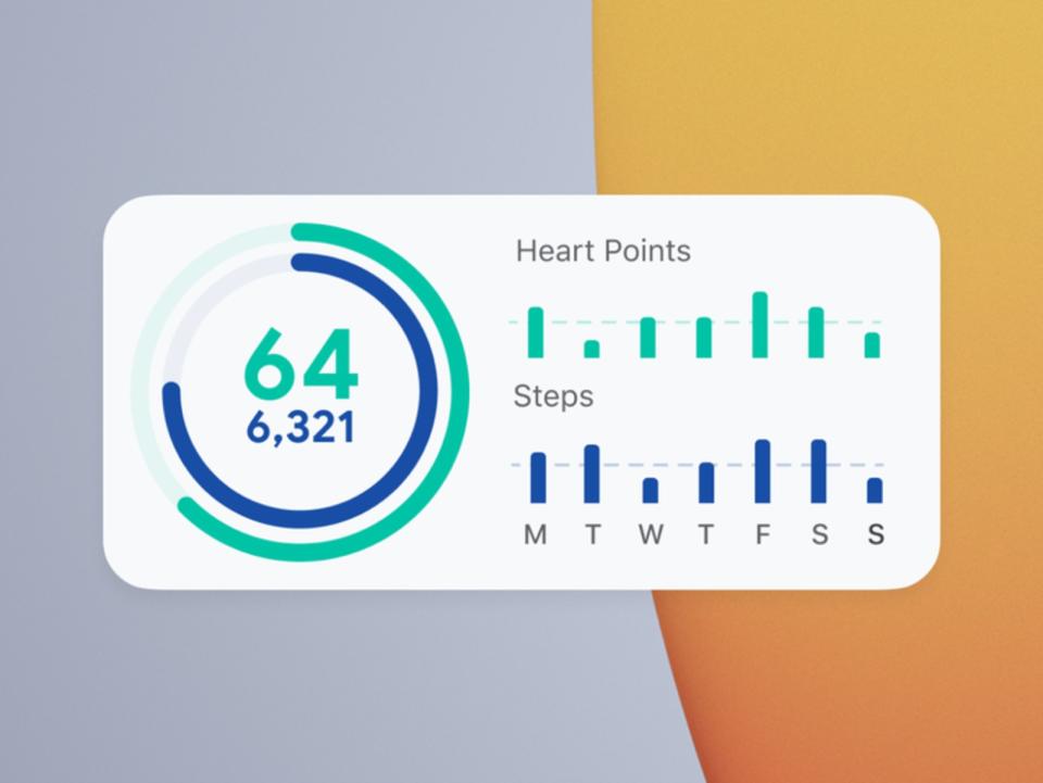 Google Fit widget