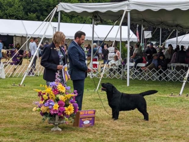 From politics to pawlitics N.L. finance minister s dog wins big