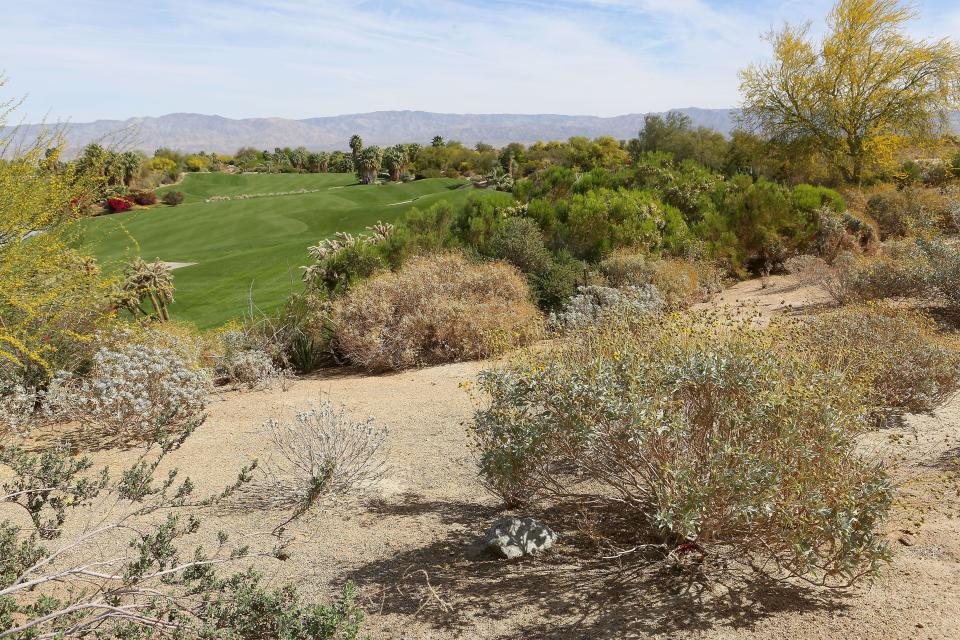 Desert Willow Golf Course in Palm Desert incorporates drought tolerant landscaping in many of the unplayable areas of the course.