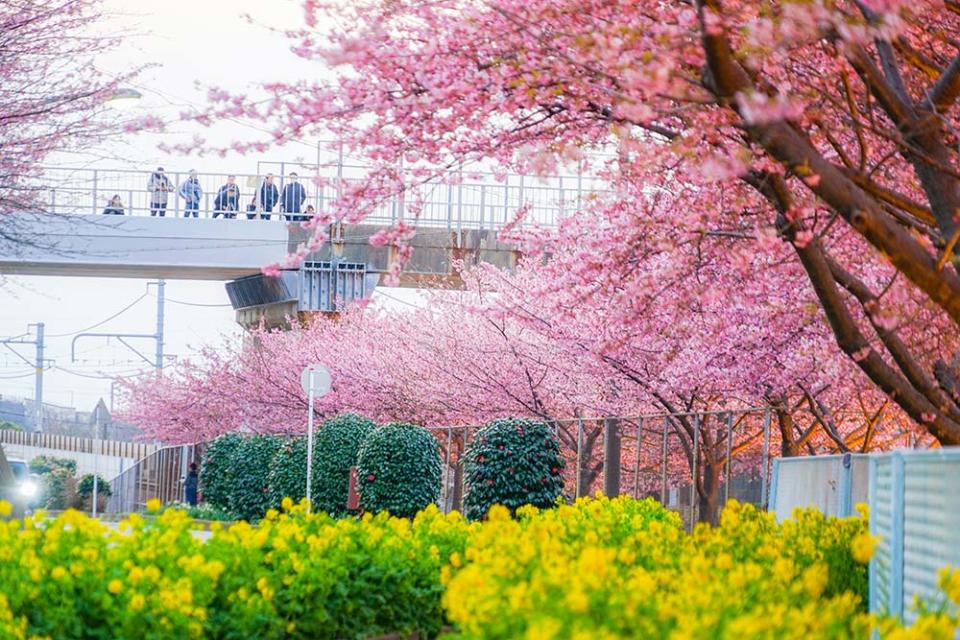 三浦海岸（Image Source : Getty Creative）