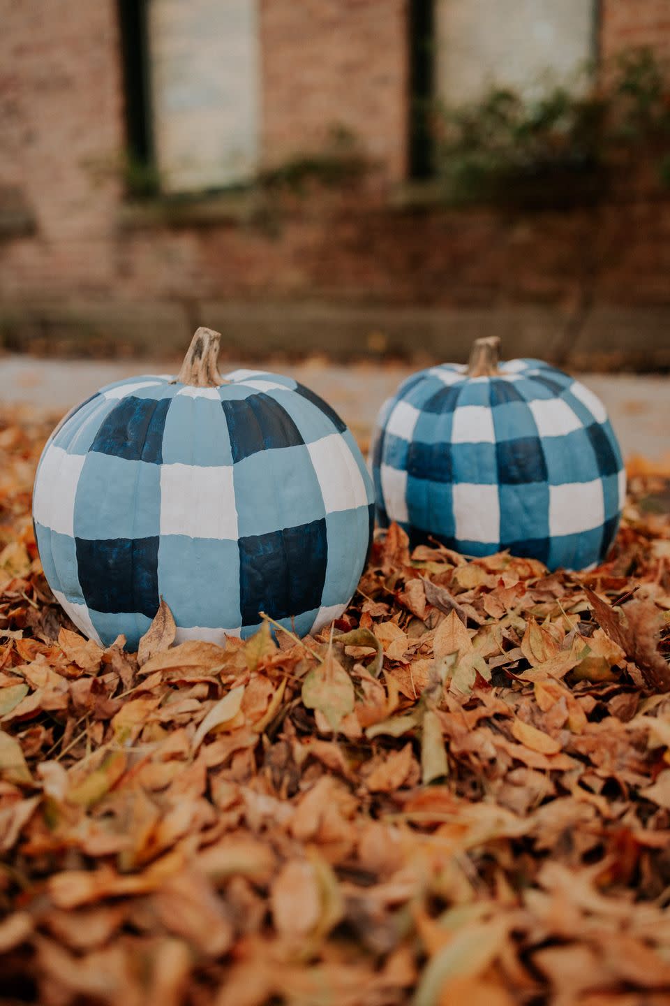 Gingham Painted Pumpkins