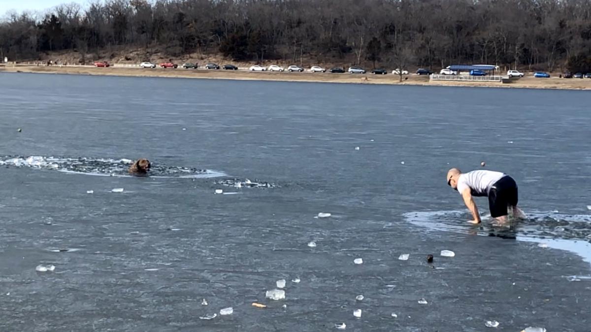 Un bon samaritain sauve un chien tombé à travers la glace d’un lac gelé